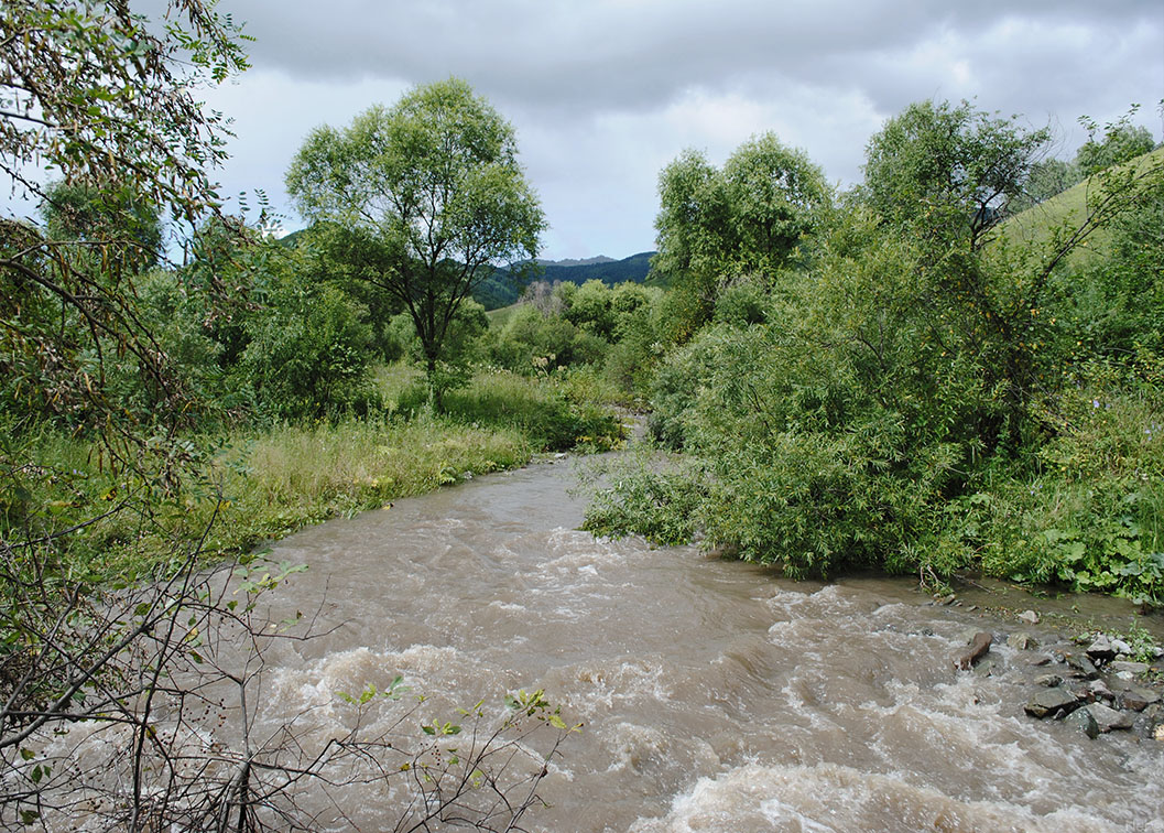 Сема, image of landscape/habitat.