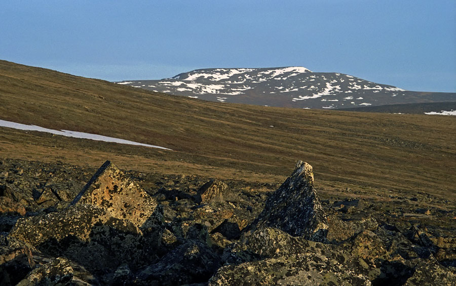 Певек, image of landscape/habitat.