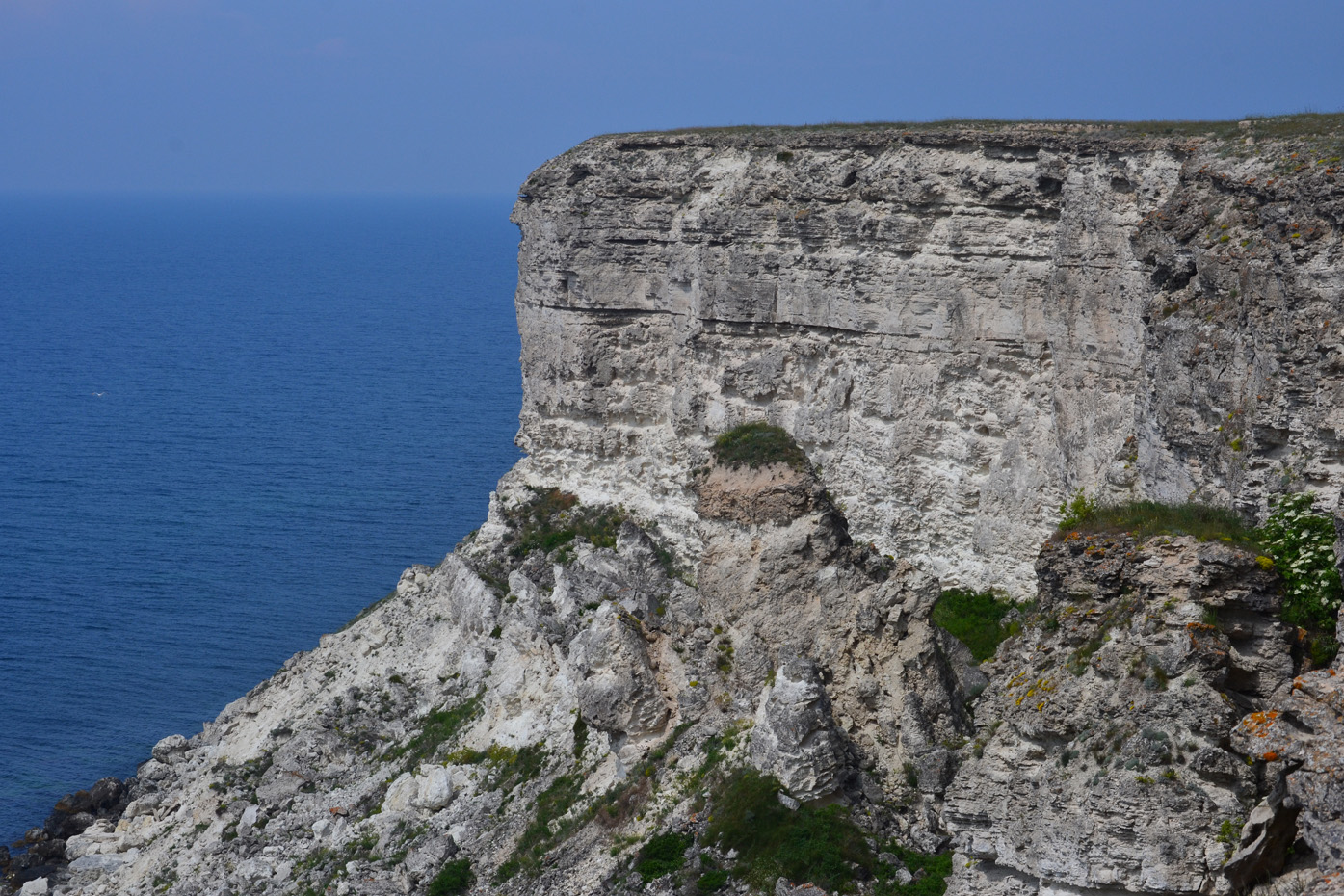 Джангуль, image of landscape/habitat.