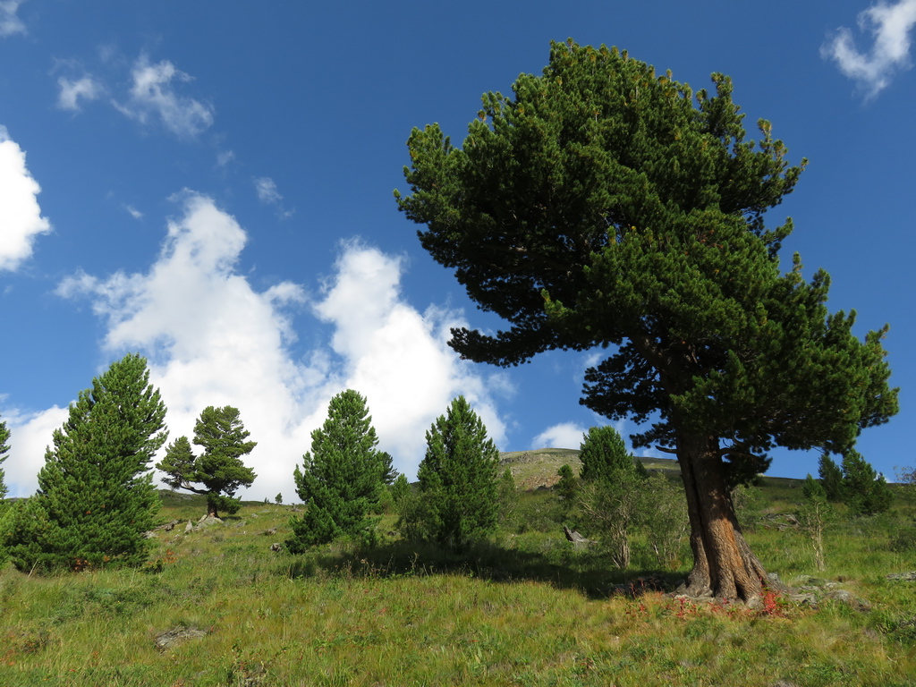 Долина Семи Озер, image of landscape/habitat.