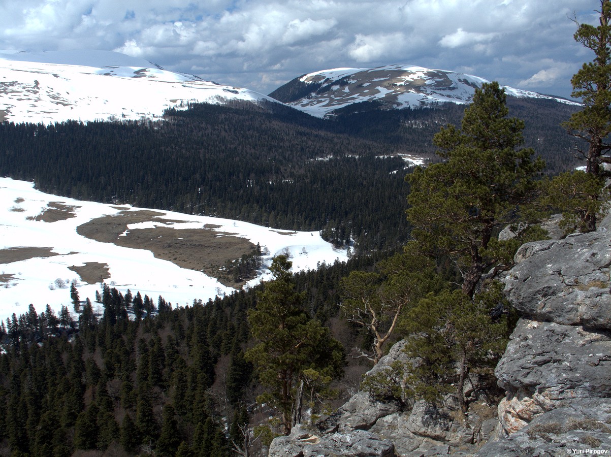 Лагонаки, image of landscape/habitat.