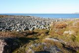 Териберка, image of landscape/habitat.