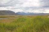 Image of landscape