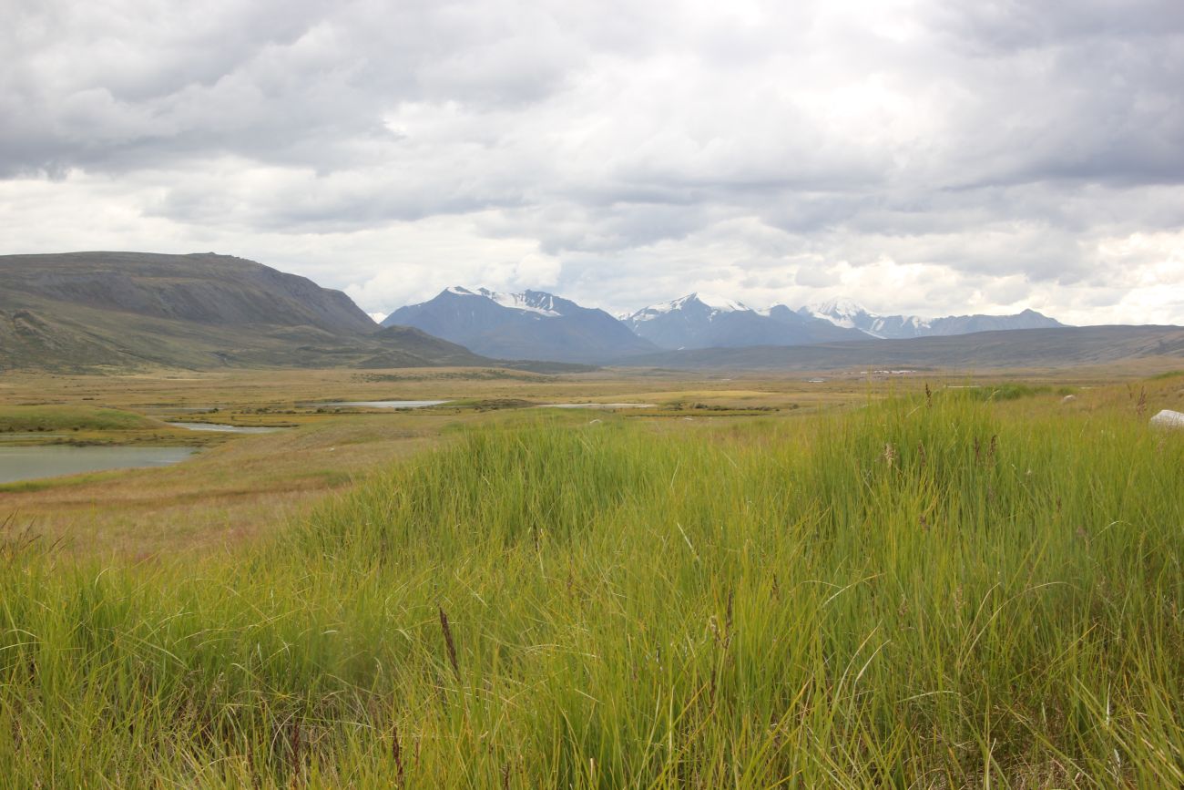 Окрестности кургана Ак-Алаха 3, image of landscape/habitat.