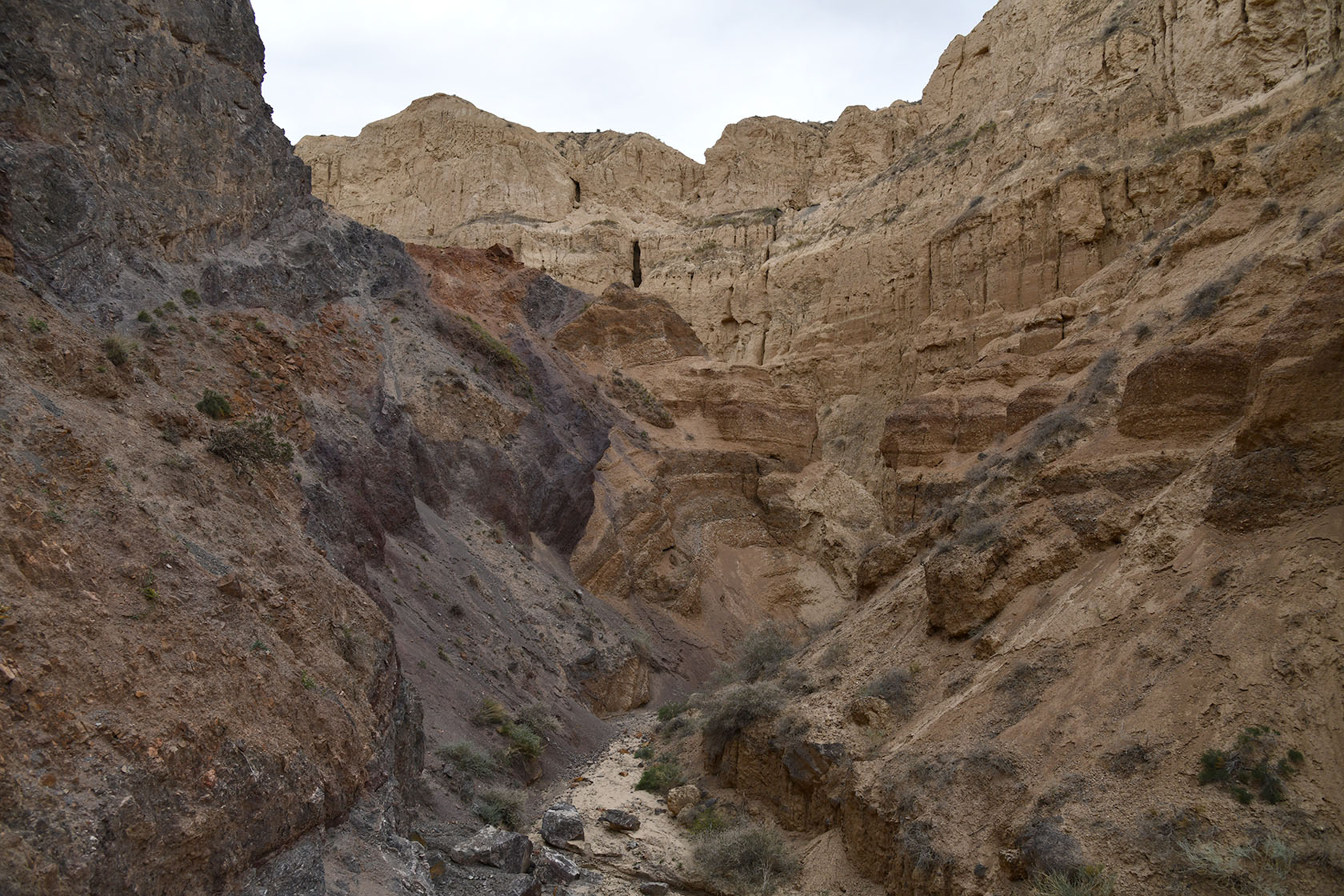 Чарын, image of landscape/habitat.