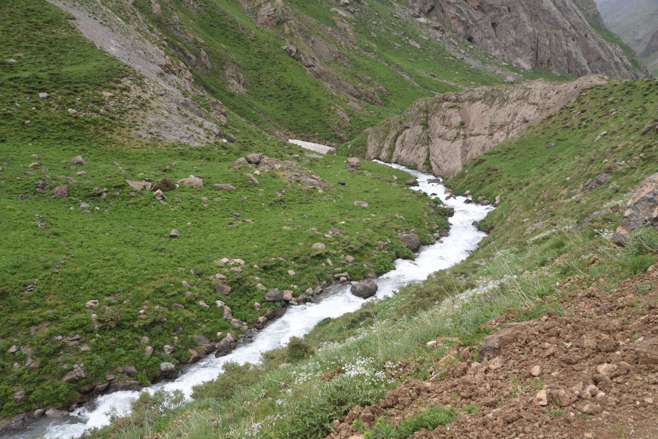 Базовый лагерь, image of landscape/habitat.