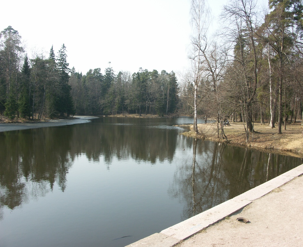 Парк "Сергиевка", image of landscape/habitat.