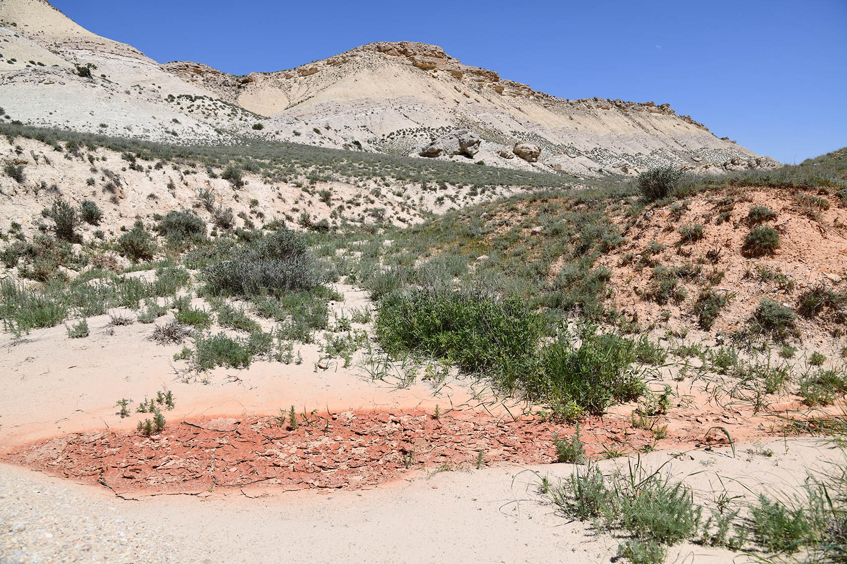 Мадыген, image of landscape/habitat.