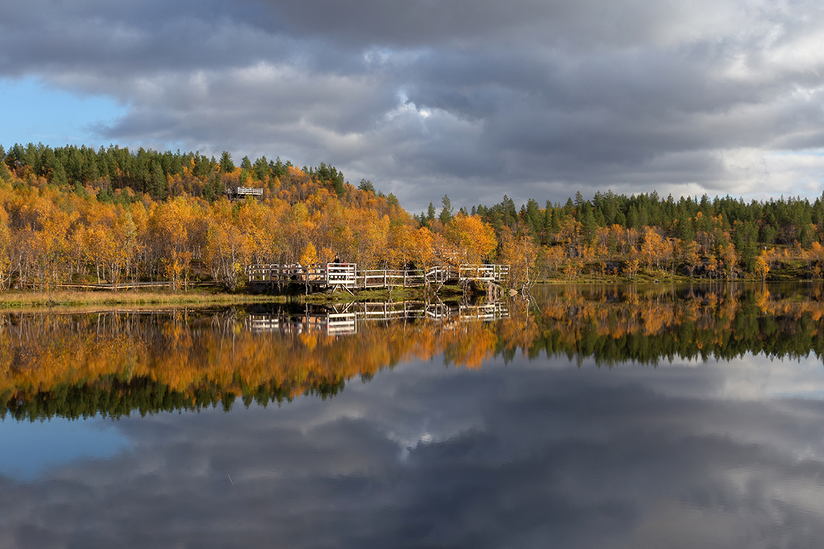 Беличий хвост, image of landscape/habitat.