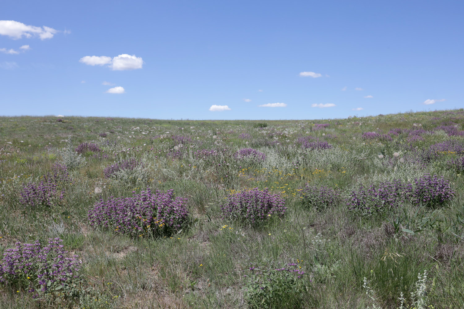 Донузлав (верховья), image of landscape/habitat.