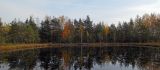 Image of landscape