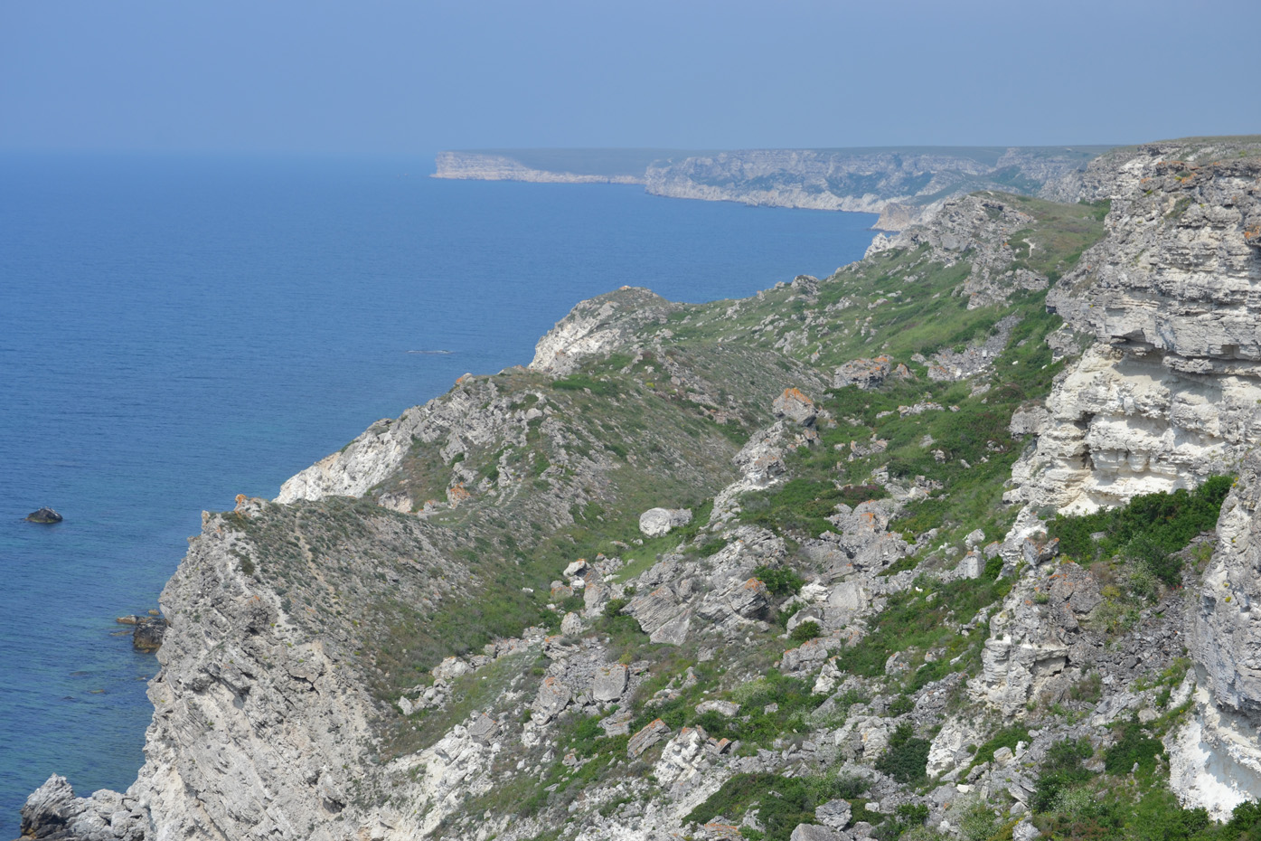 Джангуль, image of landscape/habitat.