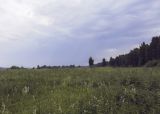 Закамск, изображение ландшафта.