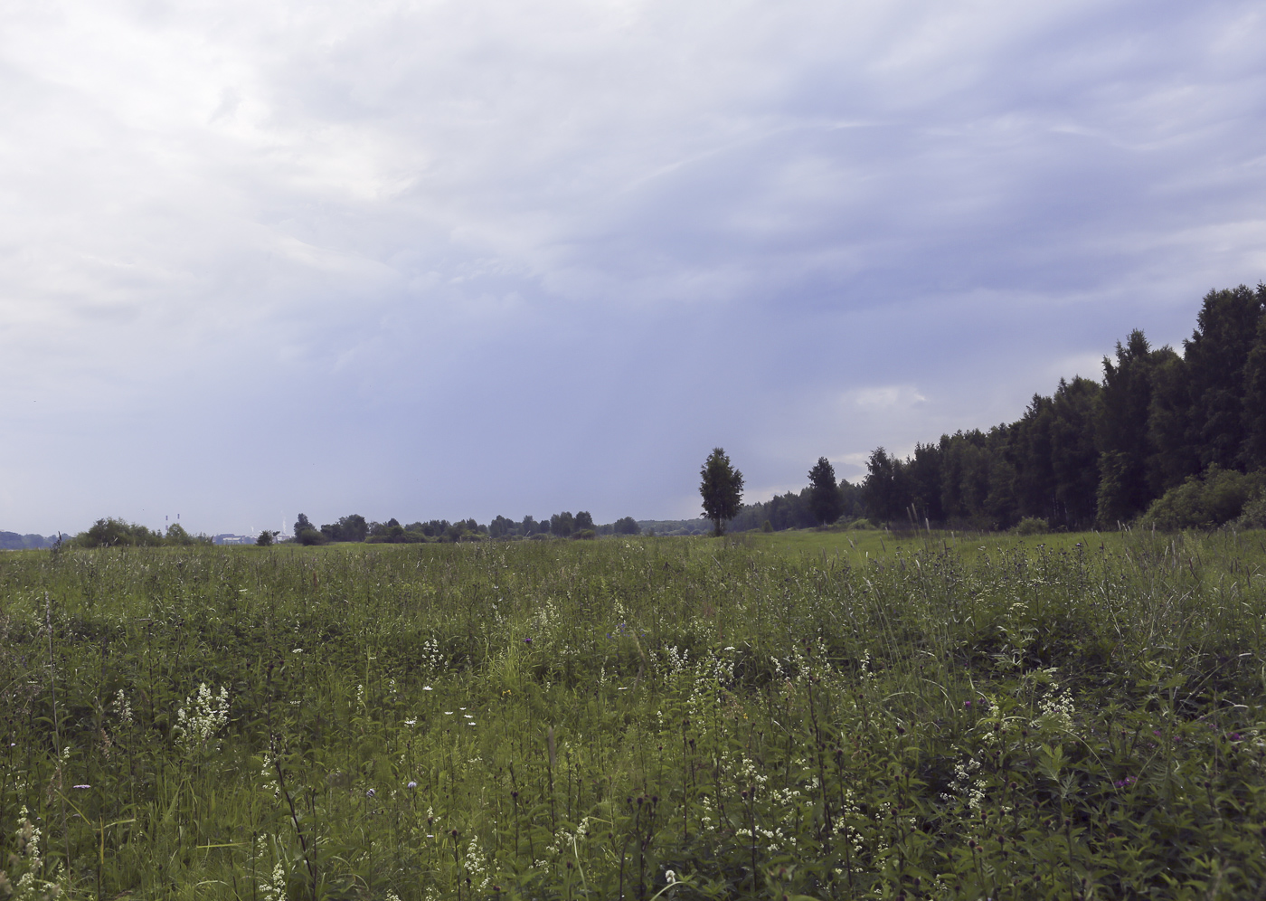 Закамск, image of landscape/habitat.