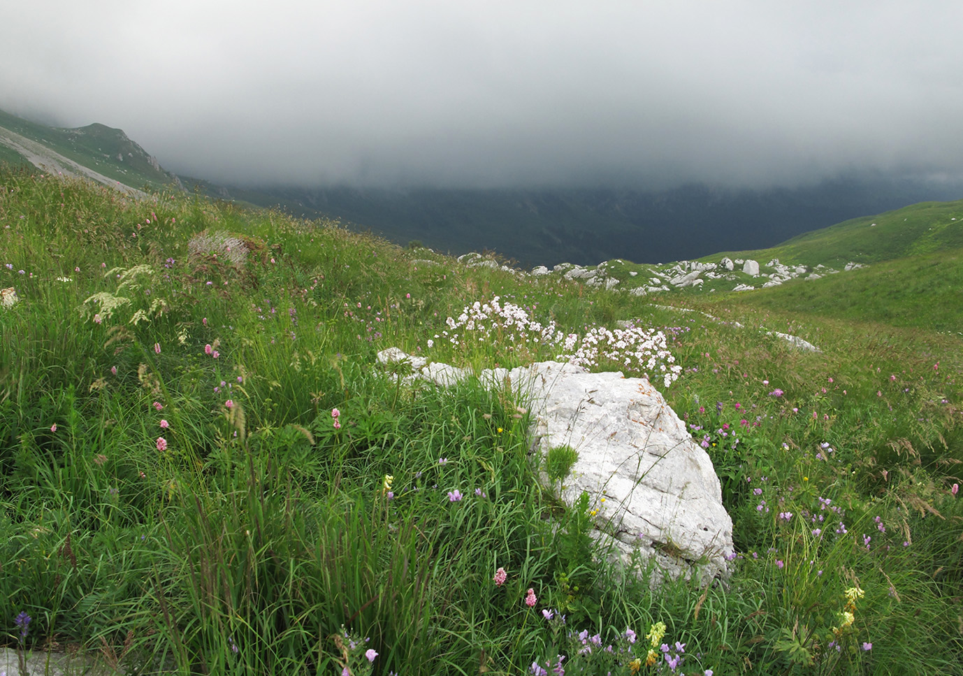 Юго-восточный отрог Оштена, image of landscape/habitat.