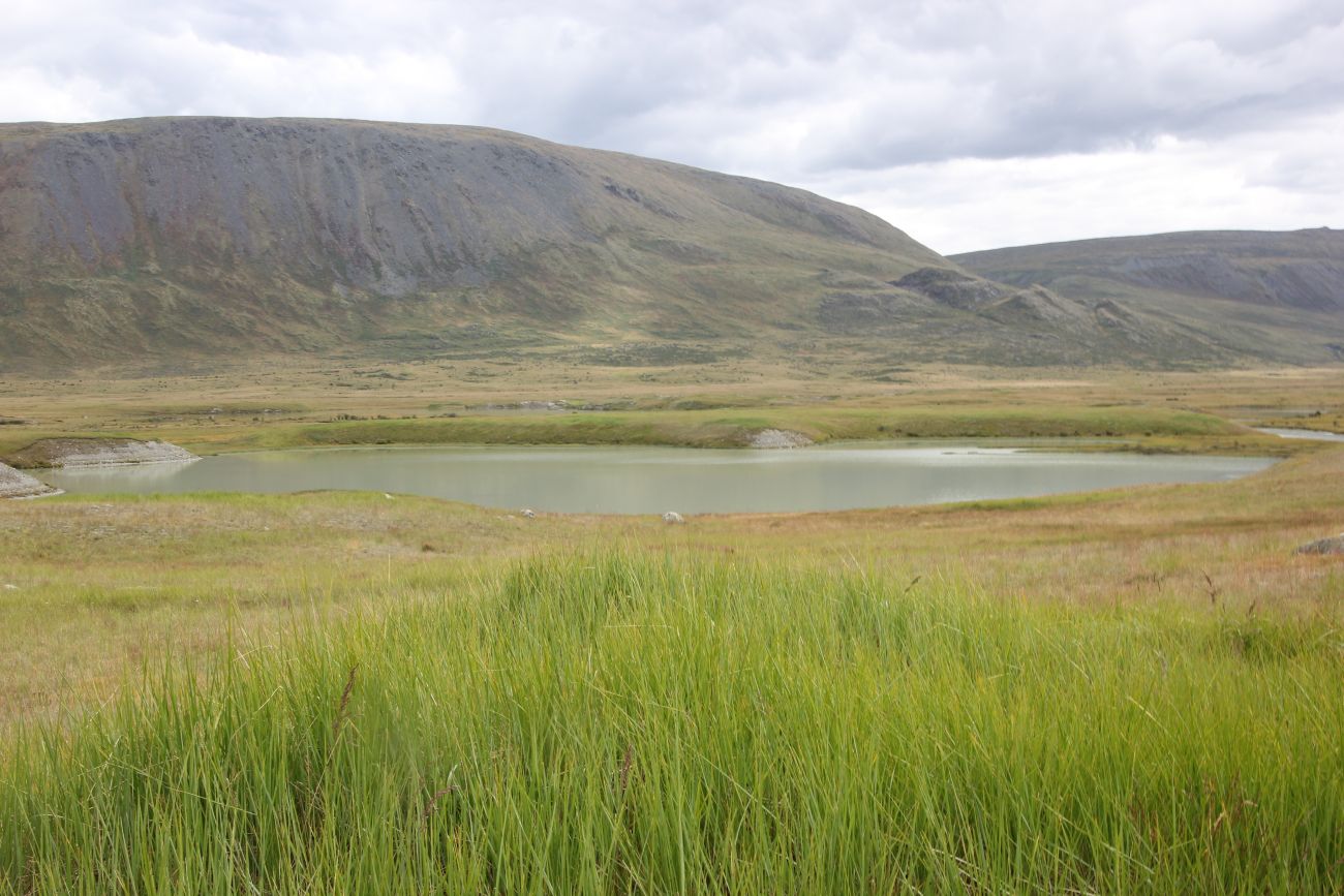 Окрестности кургана Ак-Алаха 3, image of landscape/habitat.