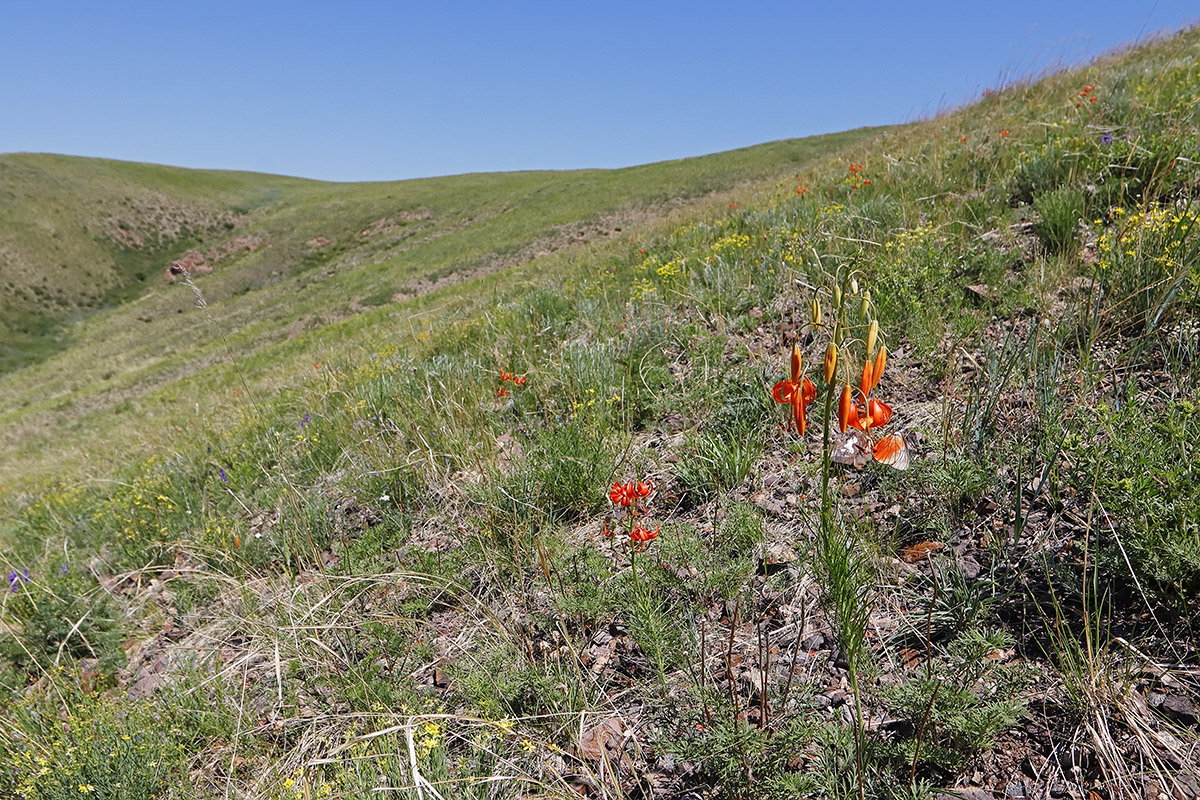 Куку-Хадан, image of landscape/habitat.