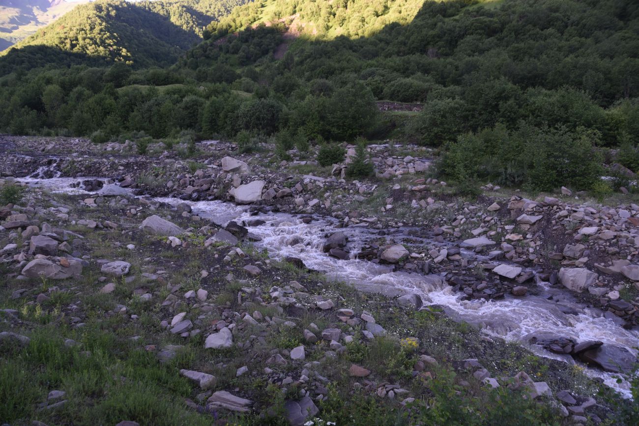 Селение Чайры и окрестности, image of landscape/habitat.