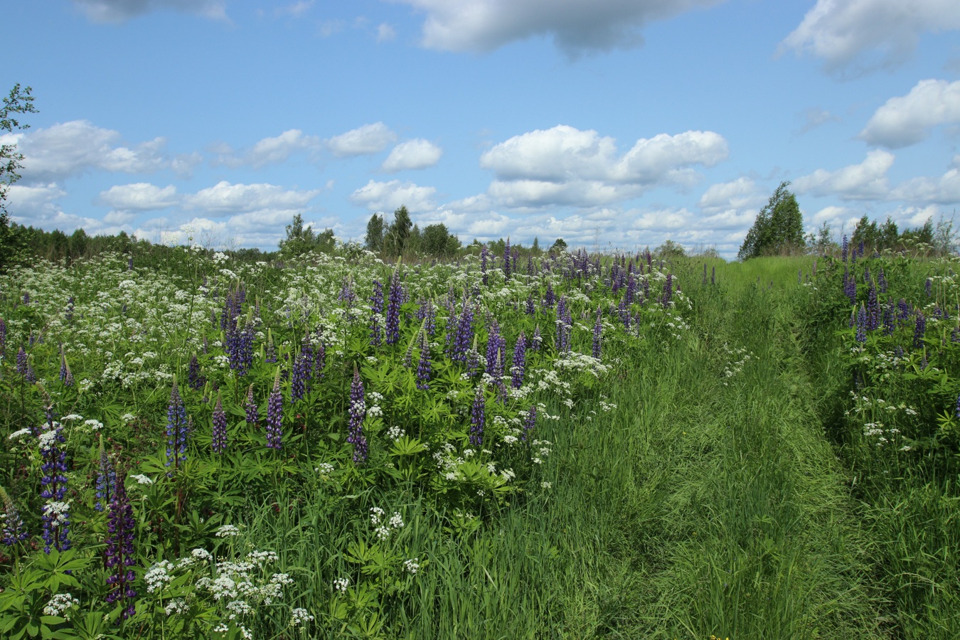 Езерище и окрестности, image of landscape/habitat.