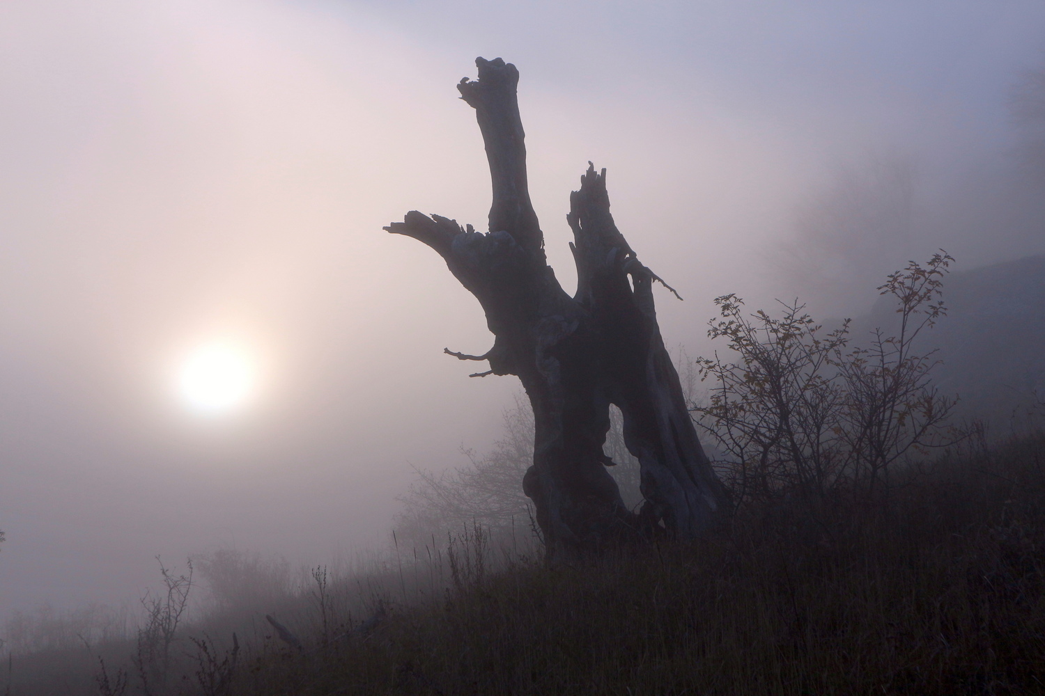 Перья Хапхала, image of landscape/habitat.