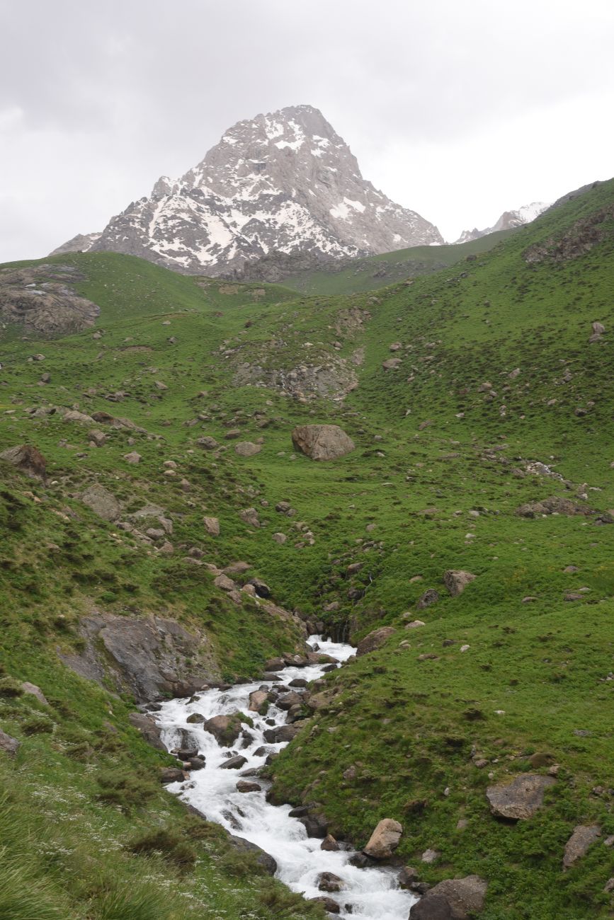 Гора Эриндж, image of landscape/habitat.