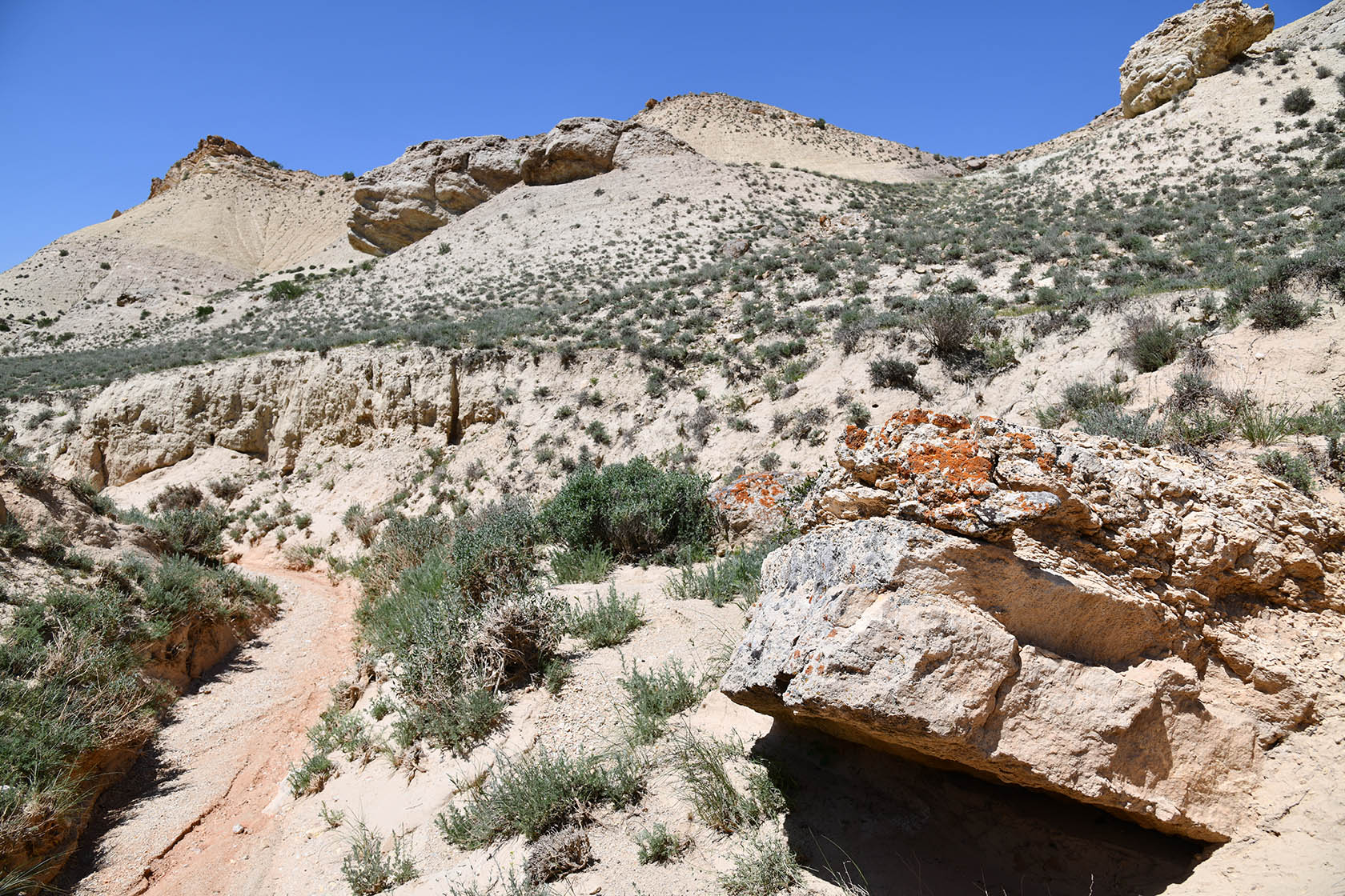 Мадыген, image of landscape/habitat.