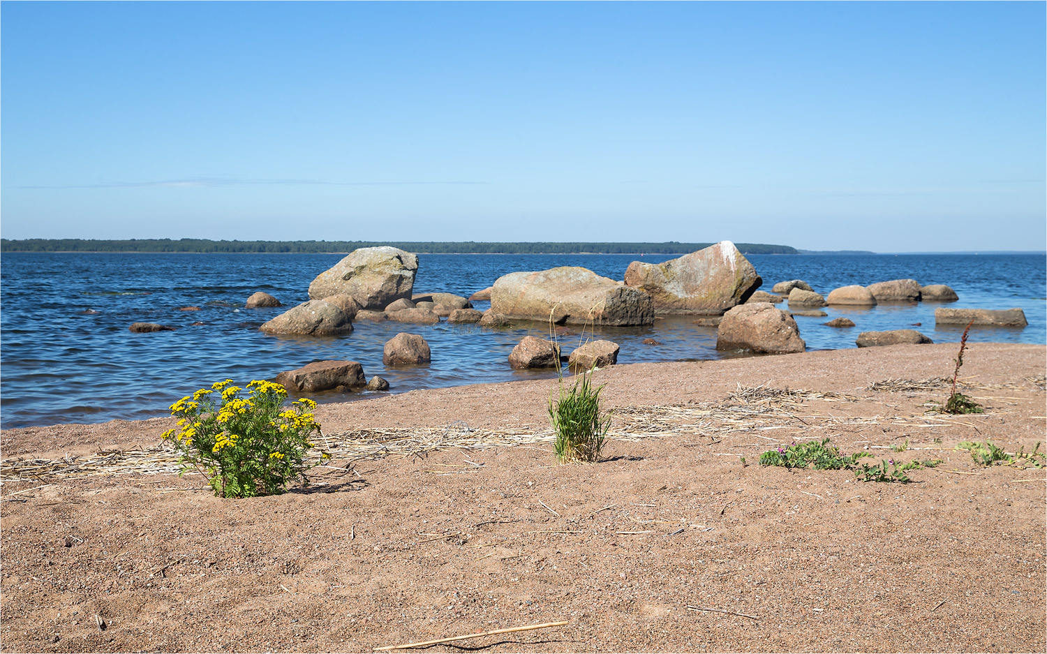 Остров Лисий, image of landscape/habitat.