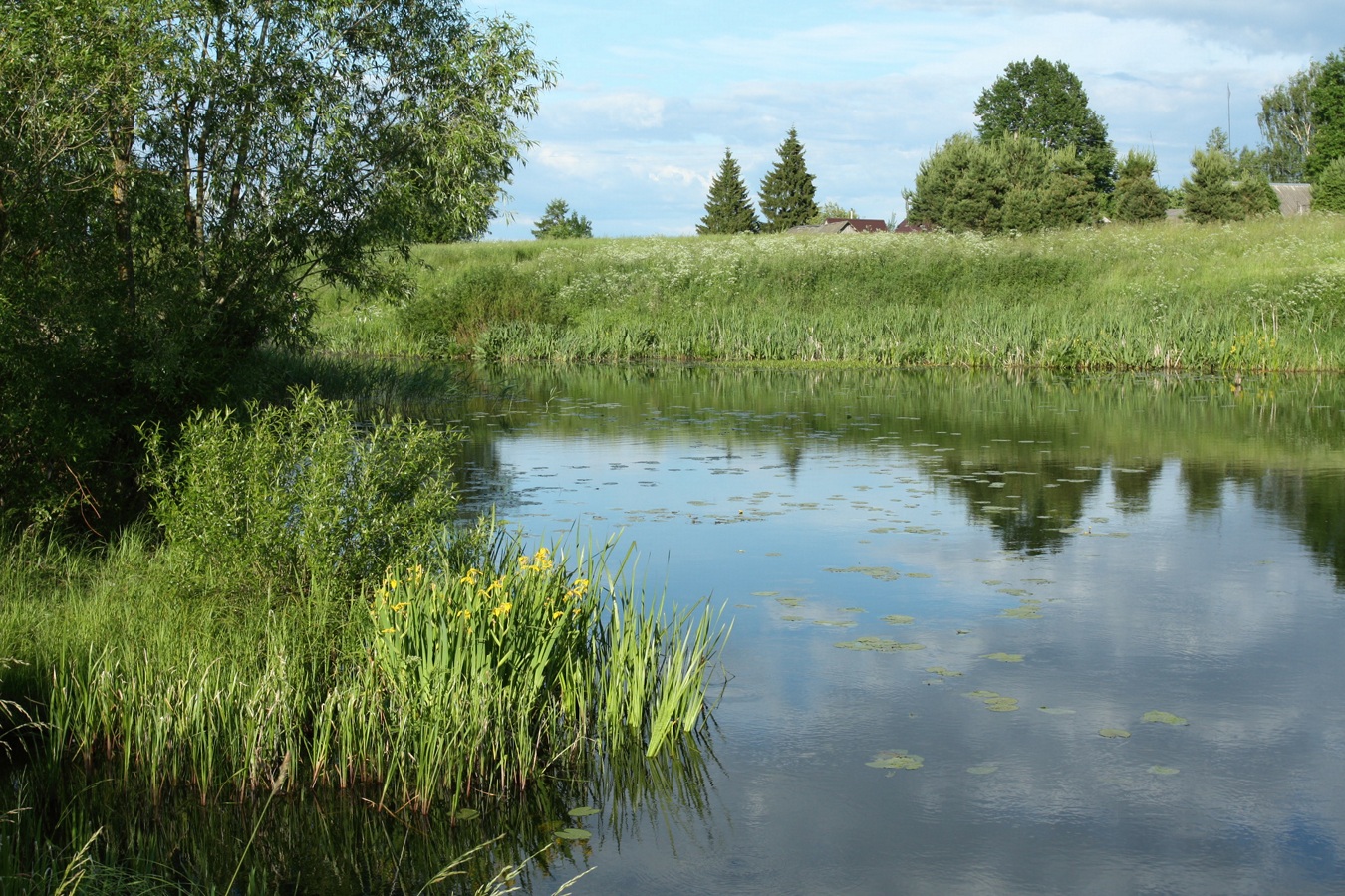 Езерище и окрестности, изображение ландшафта.