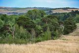 Image of landscape