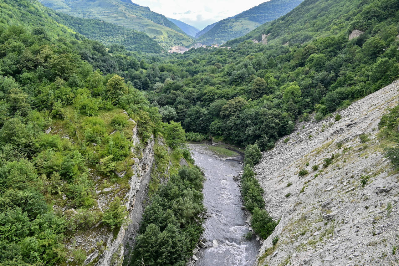 Аргунское ущелье, изображение ландшафта.