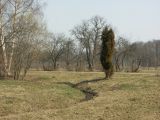 Image of landscape