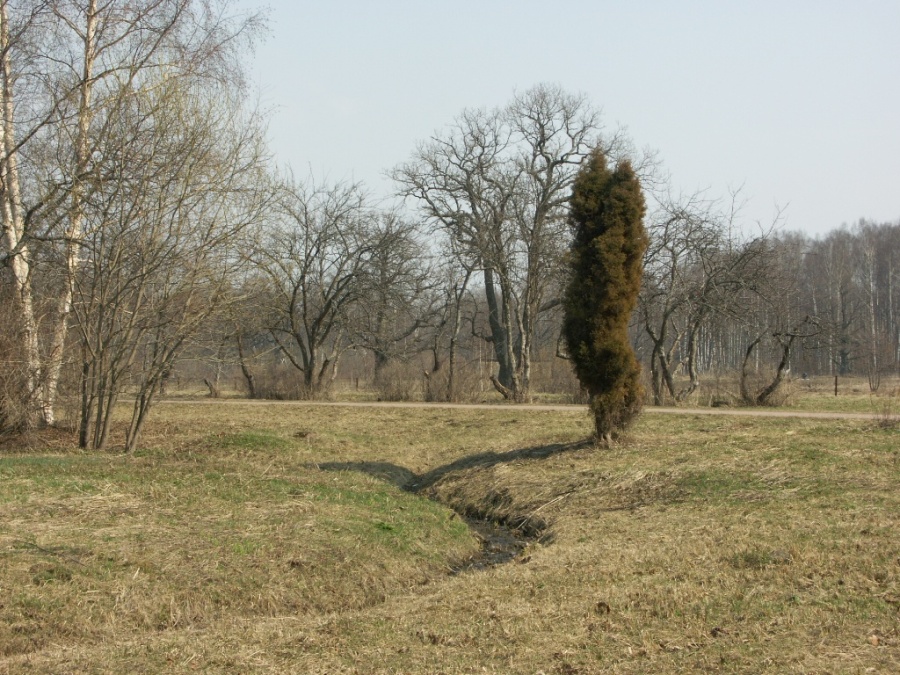 Парк "Сергиевка", изображение ландшафта.