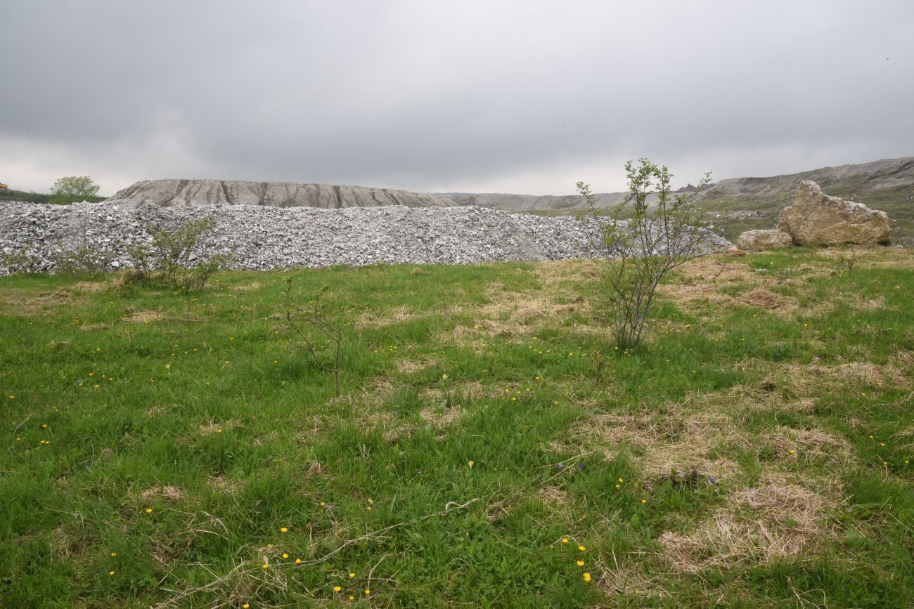Карьер компании "Волма", image of landscape/habitat.