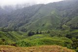 Image of landscape