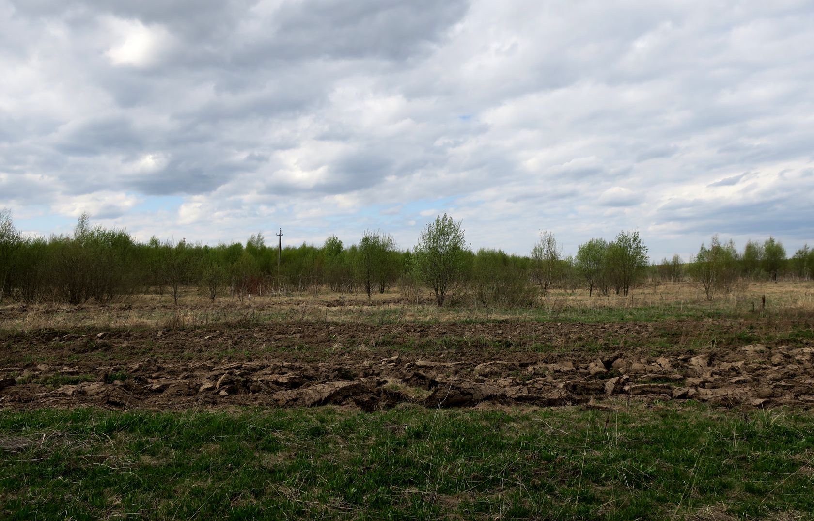 Ярцево, image of landscape/habitat.