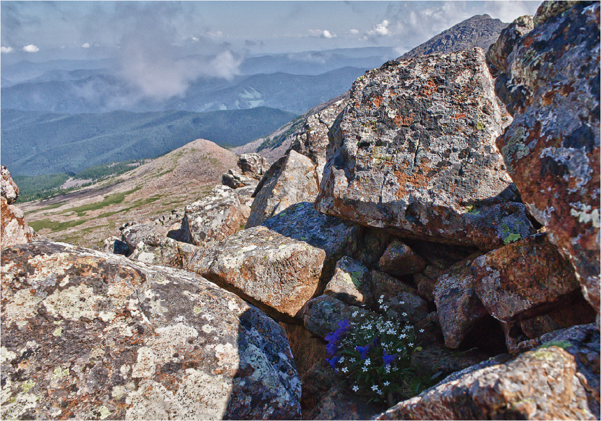 Борус, image of landscape/habitat.