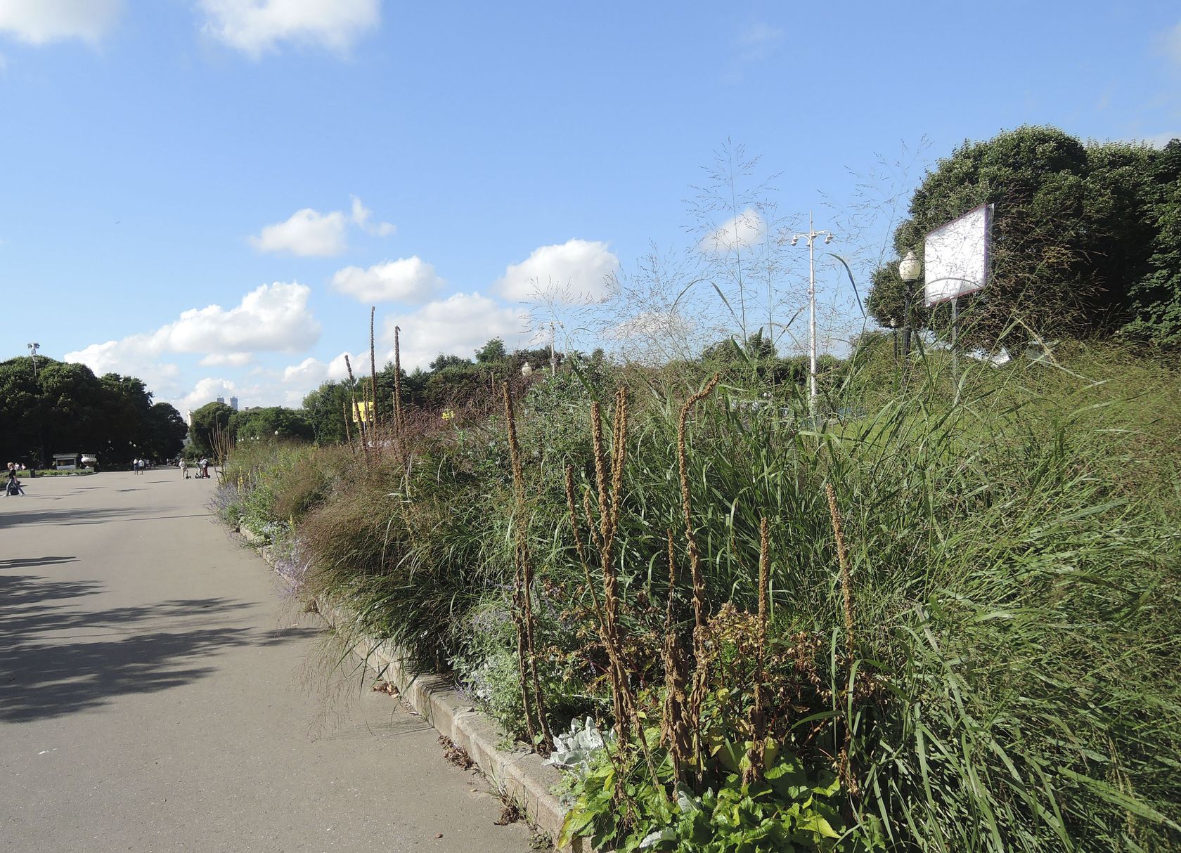 Парк Горького, image of landscape/habitat.