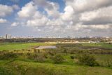 Парк Ариэля Шарона, image of landscape/habitat.