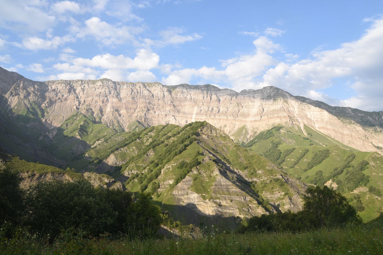 Старый дом Мухтара, image of landscape/habitat.