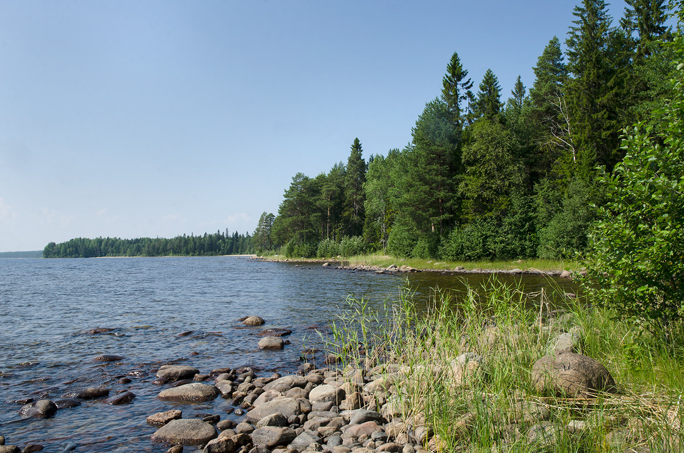 Пигматка, image of landscape/habitat.
