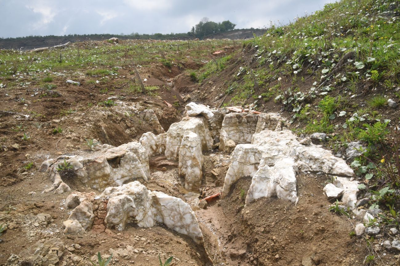 Карьер компании "Волма", image of landscape/habitat.