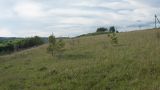 Image of landscape