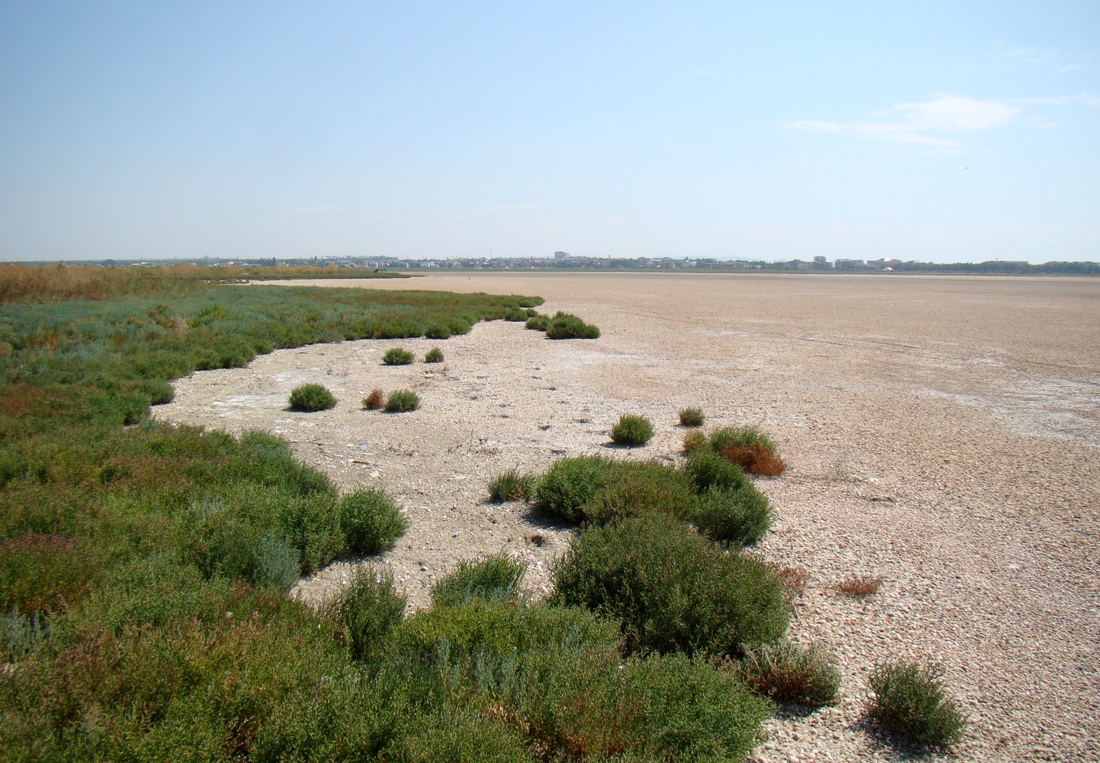 Витязевский лиман, image of landscape/habitat.