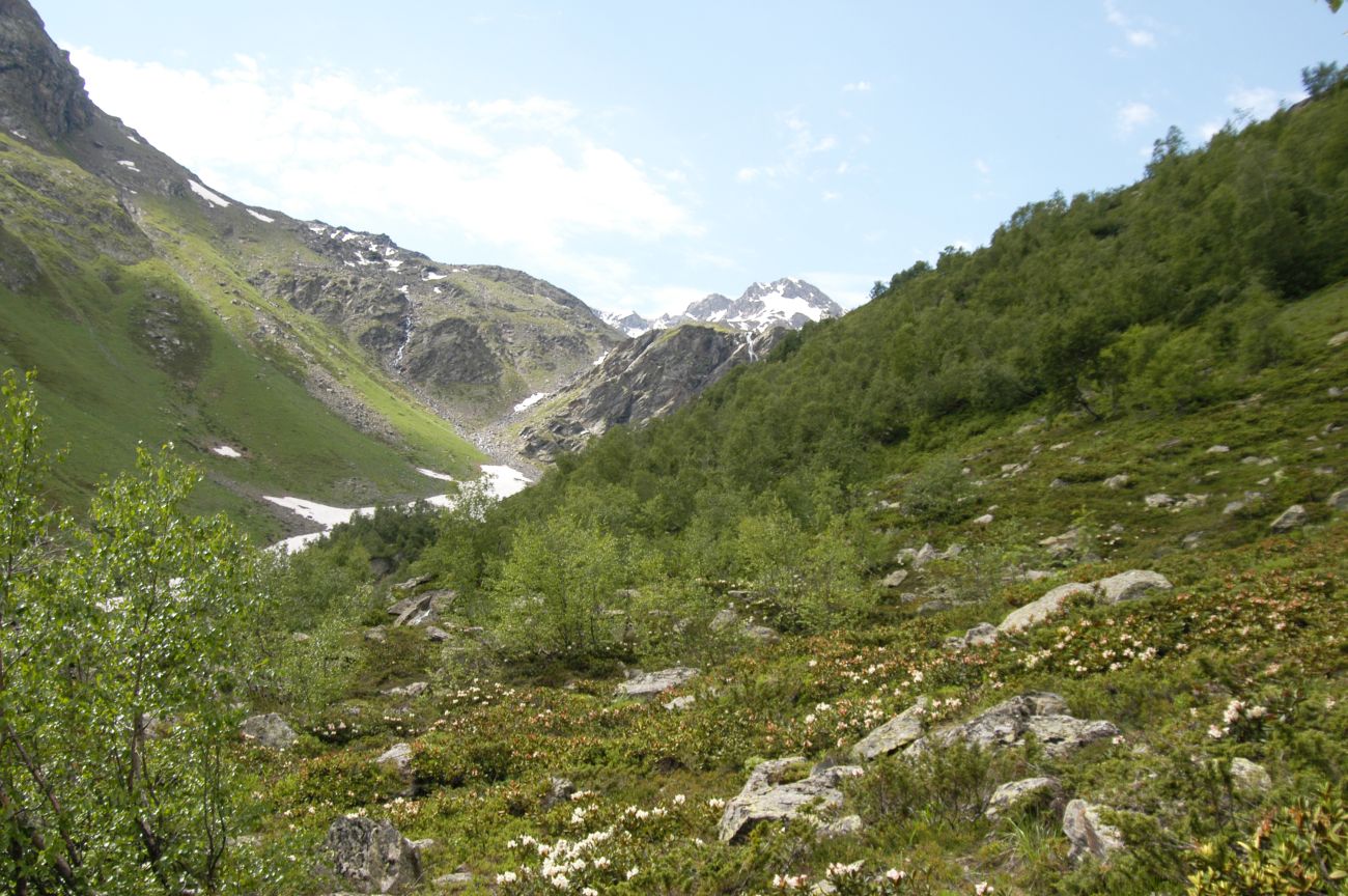 Ручей Когутайка, image of landscape/habitat.