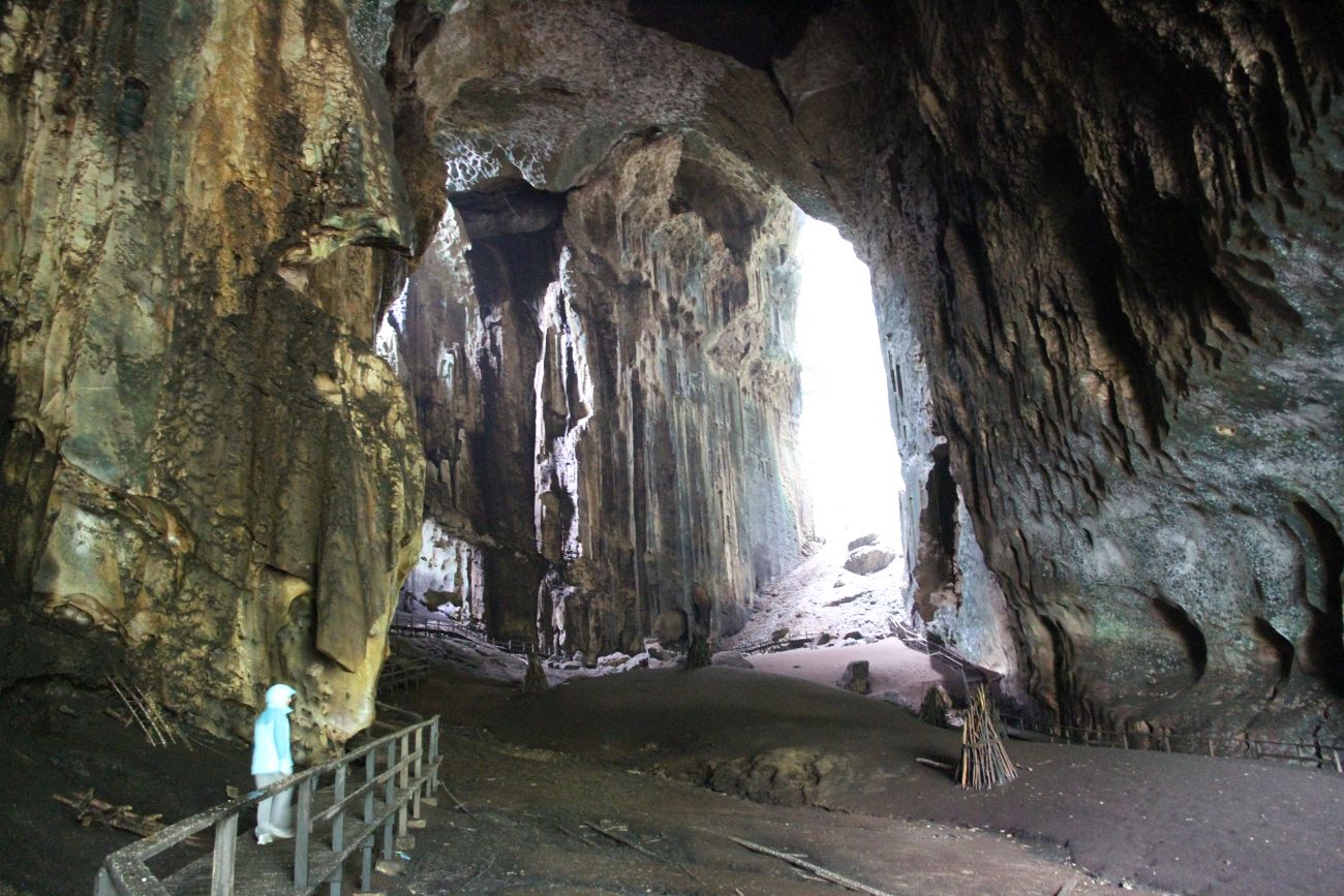 Окрестности пещеры Гомонтонг, image of landscape/habitat.
