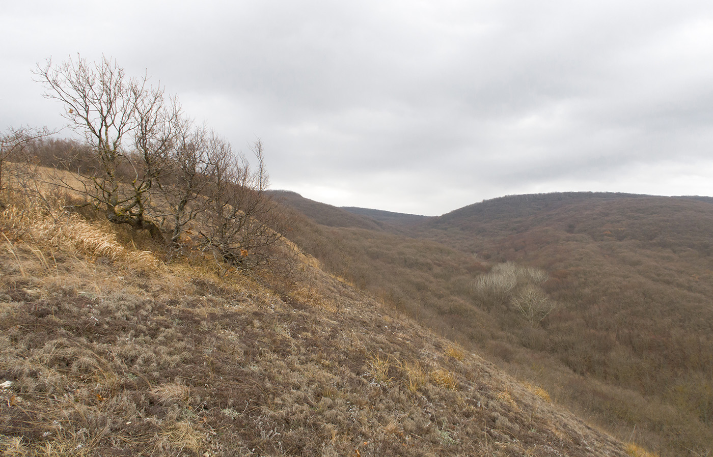 Олешкова щель, image of landscape/habitat.