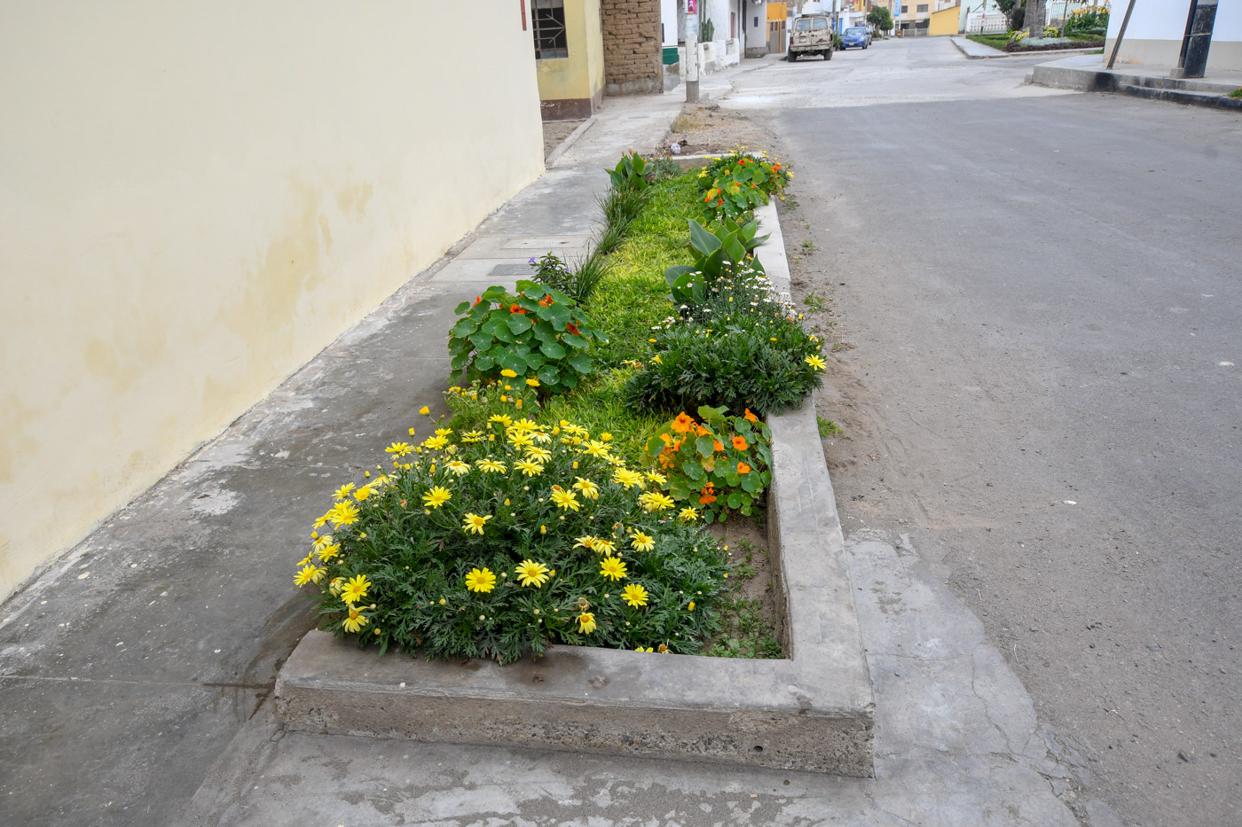 Уанчако, image of landscape/habitat.