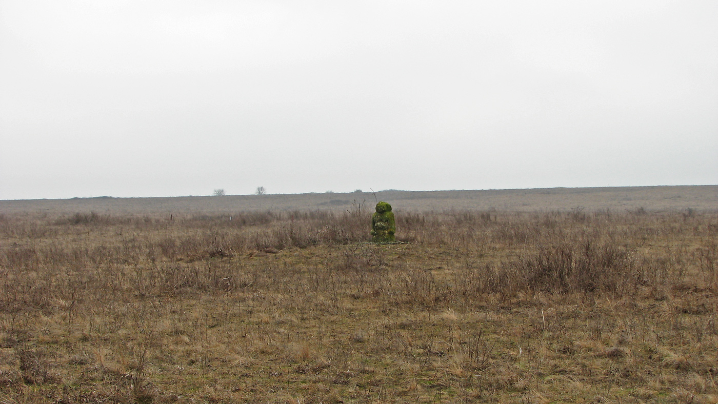 Хомутовская степь, image of landscape/habitat.