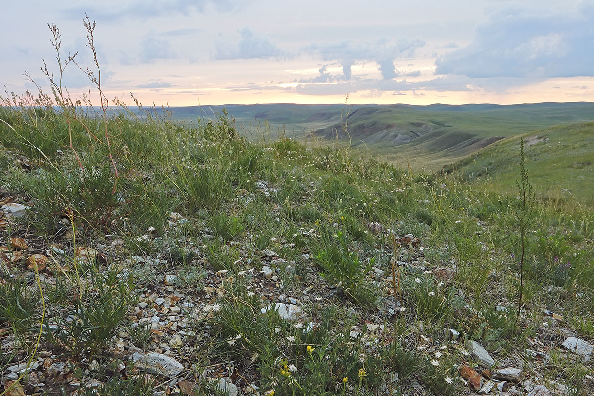 Куку-Хадан, image of landscape/habitat.