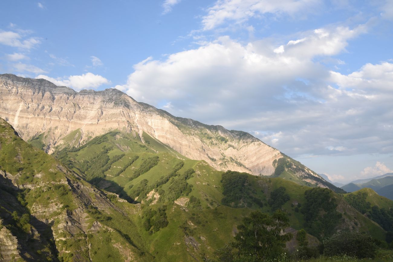 Старый дом Мухтара, image of landscape/habitat.